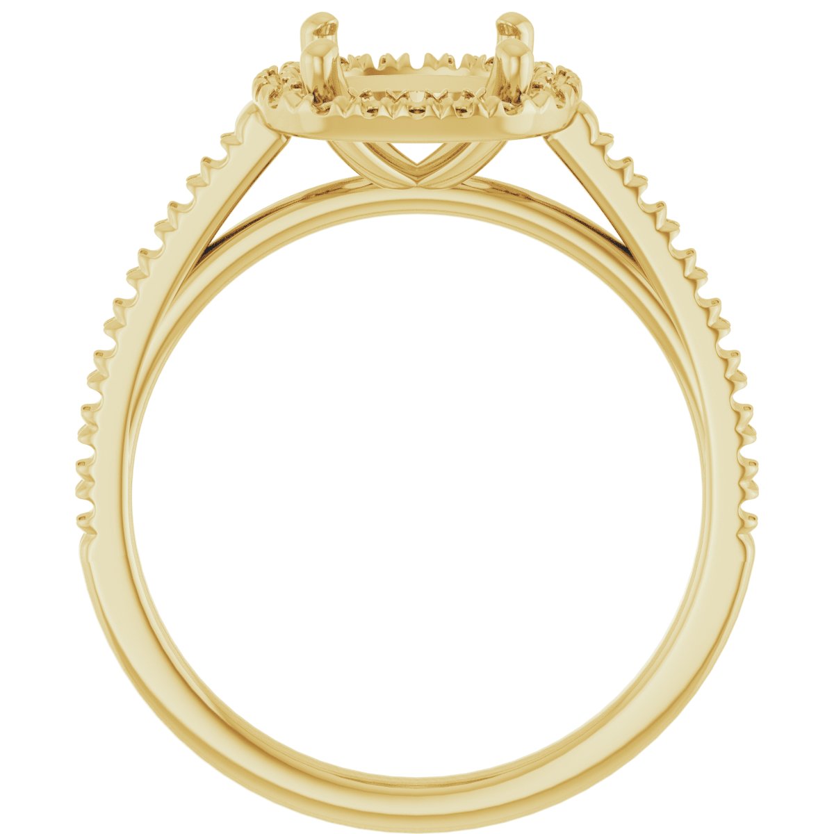 Cushion French-Set Halo-Style Engagement Ring